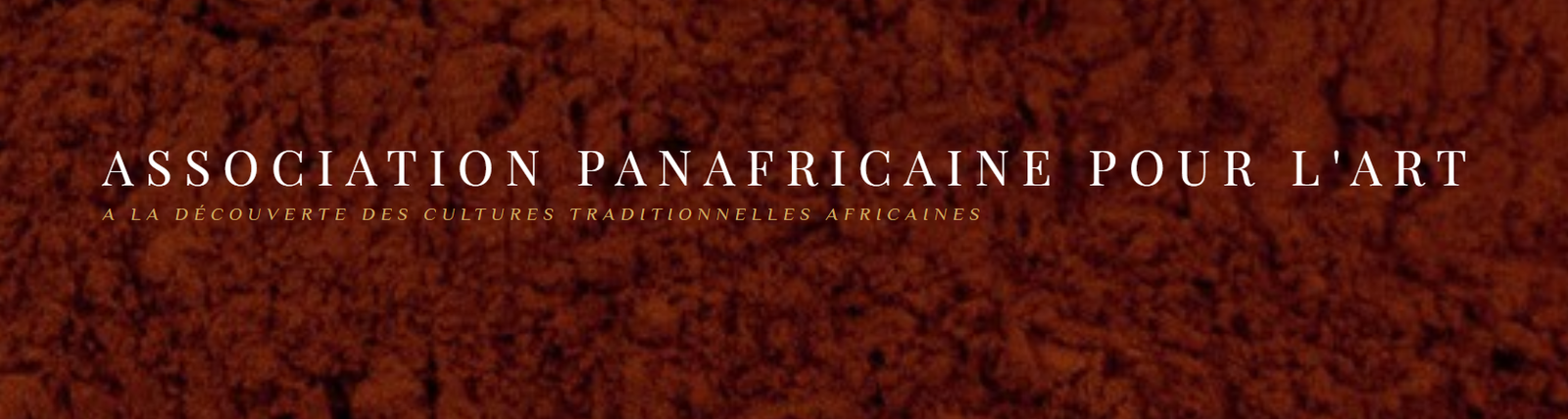 ASSOCIATION PANAFRICAINE POUR L'ART 